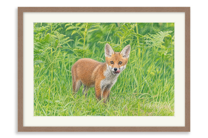 Walnut Frame A5 - 14.8 x21 cm  (+£110.00)